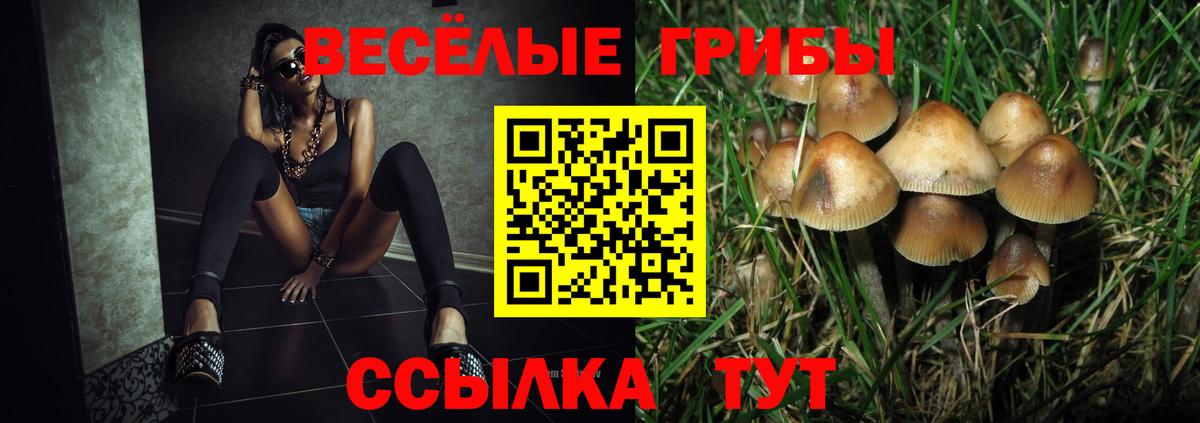 Кунгур  Псилоцибиновые грибы Psilocybe  Псилоцибиновые грибы прущие грибы  Вход с VPN 