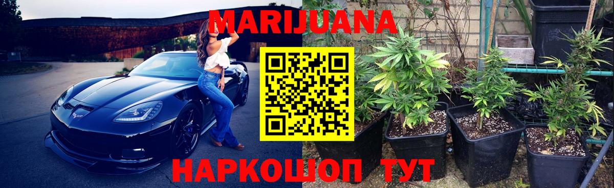 Шишки марихуана Bruce Banner  МАРИХУАНА White Widow  МАРИХУАНА MAZAR  Вход с VPN  Кунгур  Бошки Шишки White Widow 